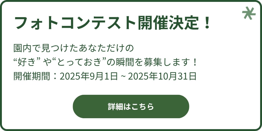 フォトコンテスト開催決定！